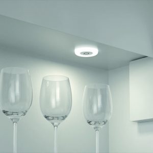 Loox 12V LED 2027 Downlights